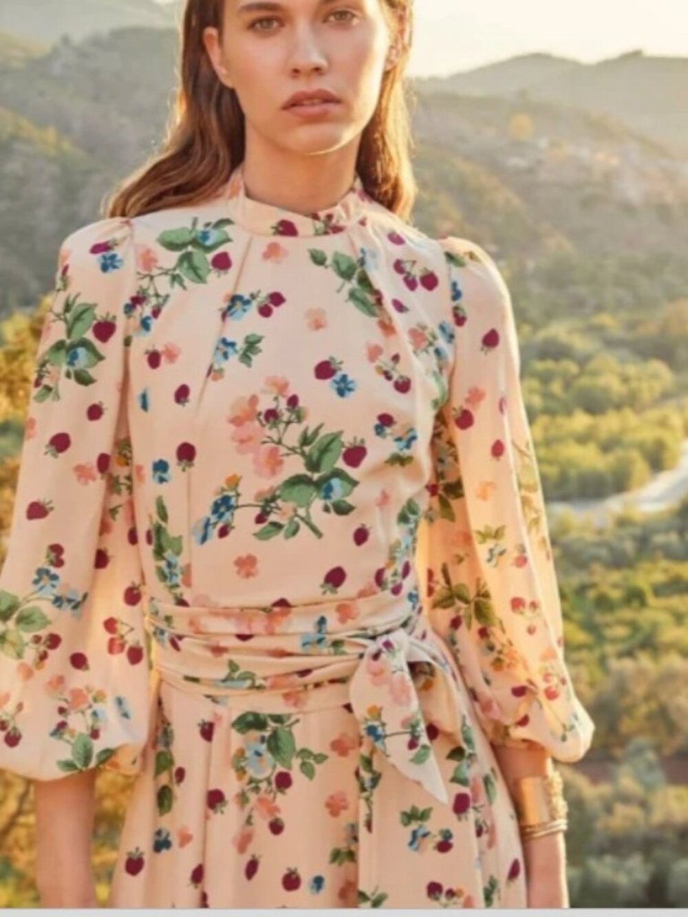 Beulah London Strawberry Print Sonia Dress Size US 10 (8)